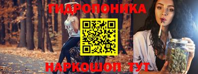 прущие грибы Малгобек