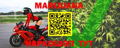 прущие грибы Малгобек
