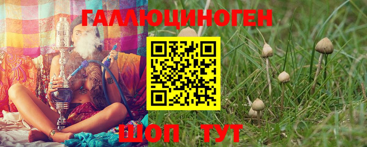Фрязино  Галлюциногенные грибы мицелий  Вход с VPN 