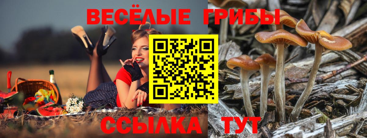 Галлюциногенные грибы мицелий Фрязино